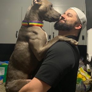 Meet your Posher, Ryan